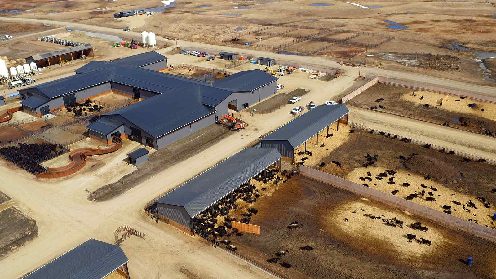 The feedlot pens and feed barns from the air in spring