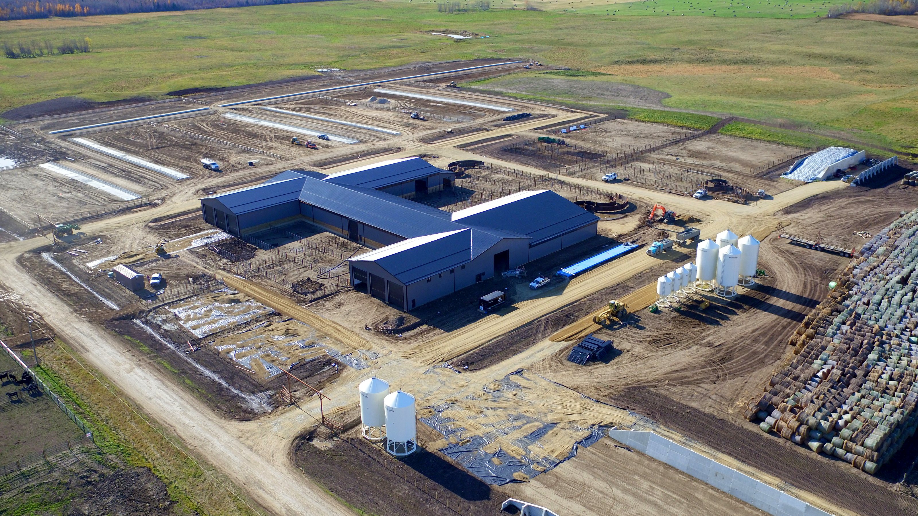 The group's ranch and feedlot from the air in autumn